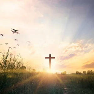 80+ Good Morning Friday Quotes