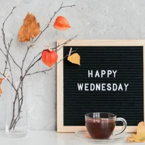80+ Happy Wednesday Quotes