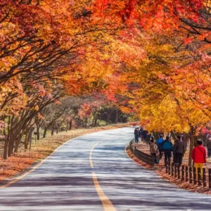 80+ November Quotes Short
