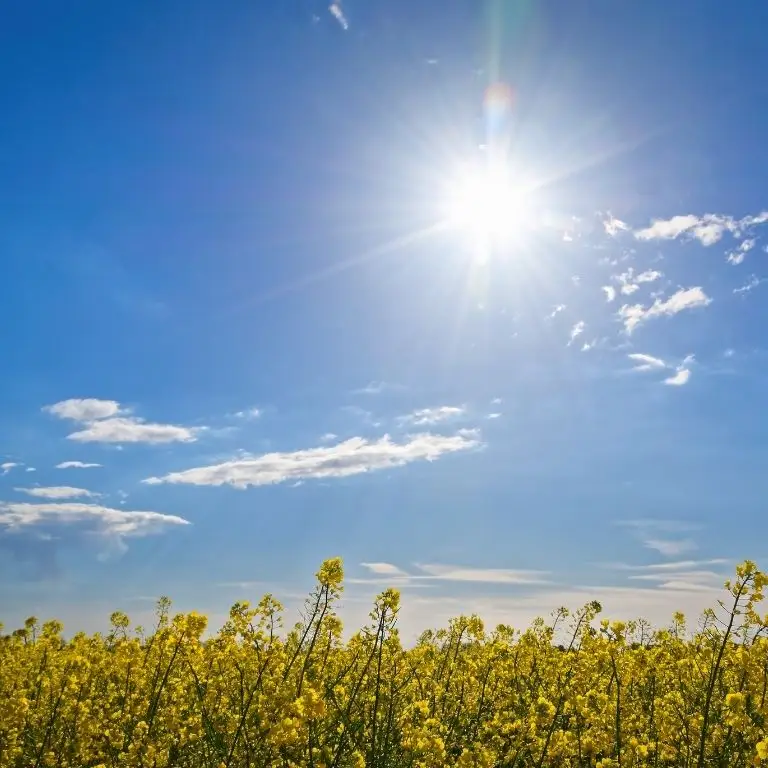 80+ Powerful Quote of the Day