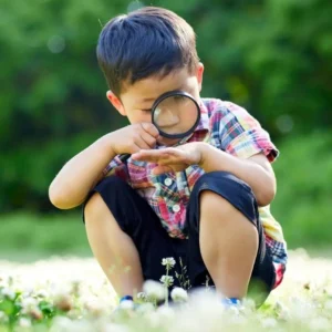 80+ Quotes About Curiosity