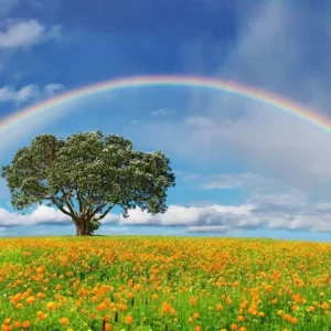 80+ Quotes About Rainbows to Brighten Your Day and Color Your World