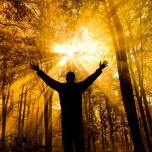 80+ Spiritual Quotes About Life to Inspire Peace, Purpose, and Positivity