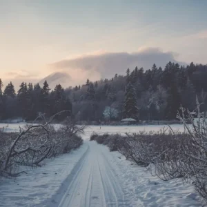 110+ Cold Morning Quotes