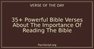 35+ Powerful Bible Verses About The Importance Of Reading The Bible