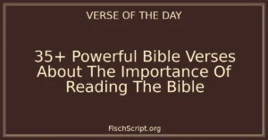 35+ Powerful Bible Verses About The Importance Of Reading The Bible